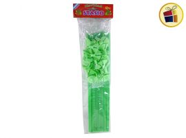 (P.R.G.C1.C2.)PORTA GLOBO X 25UN. VERDE PASTEL (008119-PV-81198) ZABAWA