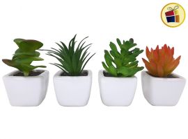 ADORNO PLANTA SUCULENTA MACETA CERAMICA 8CM NICO (517/750600)