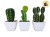 ADORNO CACTUS SUCULENTA ARTIFICIAL 14CM NICO (522/684868)