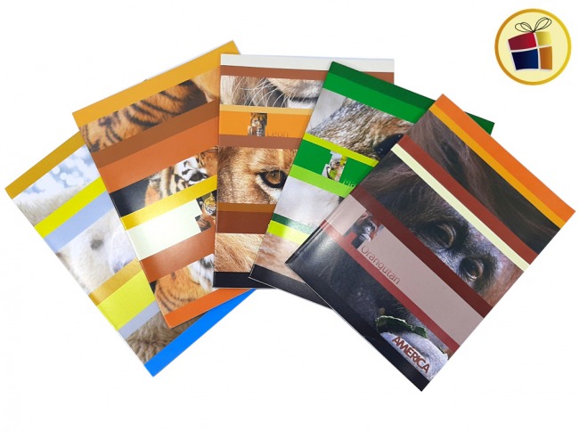 CUADERNO AMERICA X24 HJS T/FLEXIBLE (237617)         