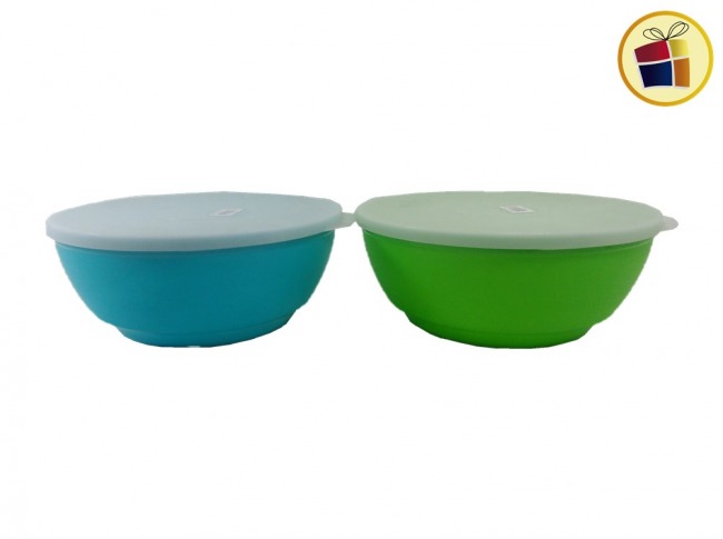 BOWL PLASTICO CON TAPA 3000CC TREBOL (0129/290670)