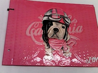 CARPETA C/CORDON Nº5 DIBUJO BRILLO/RELIEVE (987494)